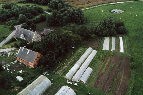 Das Bild zeigt den Hof von Grete Peschken aus der Vogelperspektive. Links zur Straße hin sind die 3 Gebäude zu sehen, deren Auffahrt aus Plattenwegen besteht wie sie in Mecklemburg Vorpommern häufig auf dem Land zu finden sind. Es sind ältere Gebäude,  das Gebäude nahe am Acker links unten ist aus rot-gelblichen Backstein, das andere darüber gräulich weiß mit klassischen Schweifgiebeln. Dahinter befindet sich ein kleiner Pferdestall, ein Pferd ist auch rechts davon zu erkennen. Der rechte untere Teil des Bildes zeigt den Acker. Es sind Folientunnel und viele streifenförmig angelegte Flächen mit verschiedenen Ackerkulturen zu sehen. Rechts oben im Bild ist noch ganz klein eine Gruppe Schafe um einen kleinen Teich zu sehen. Das Wetter zur Zeit des Fotos scheint eher bewölkt zu sein. Diverse größere Bäume sind um den Acker und dem Hof verteilt.