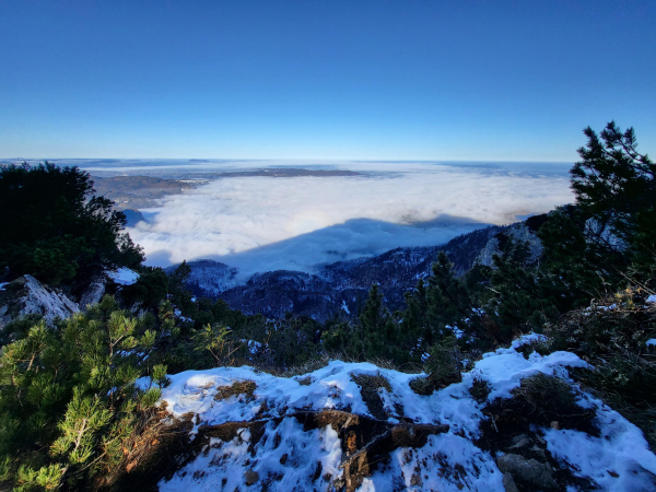 A stunning winter scene unfolds before us as we gaze upon a snowy mountain peak shrouded in clouds below. The mountain stands tall against the blue sky, creating a breathtaking contrast. A lone tree, with its branches covered in snow, is visible in the foreground, adding a touch of serenity to the rugged landscape. The image captures the essence of the wilderness in its purest form, showcasing the beauty of nature in its unspoiled state. This tranquil setting invites us to immerse ourselves in the tranquility of the snowy terrain and marvel at the grandeur of the mountain massif.