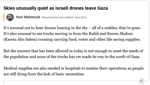 Skies unusually quiet as Israeli drones leave Gaza

Hani Mahmoud - Reporting from Deir el-Balah, Gaza Strip

It’s unusual not to hear drones buzzing in the sky – all of a sudden, they’re gone. It’s also unusual to see trucks moving in from the Rafah and Kerem Shalom (Karem Abu Salem) crossing carrying food, water and other life-saving supplies.

But the amount that has been allowed in today is not enough to meet the needs of the population and none of the trucks has yet made its way to the north of Gaza.

Medical supplies are also needed in hospitals to sustain their operations as people are still dying from the lack of basic necessities.