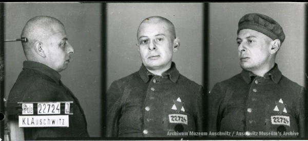 A mugshot registration photograph from Auschwitz. A man with a shaved head wearing a striped uniform photographed in three positions (profile and front with bare head and a photo with a slightly turned head with a hat on). The prisoner number is visible on a marking board on the left.