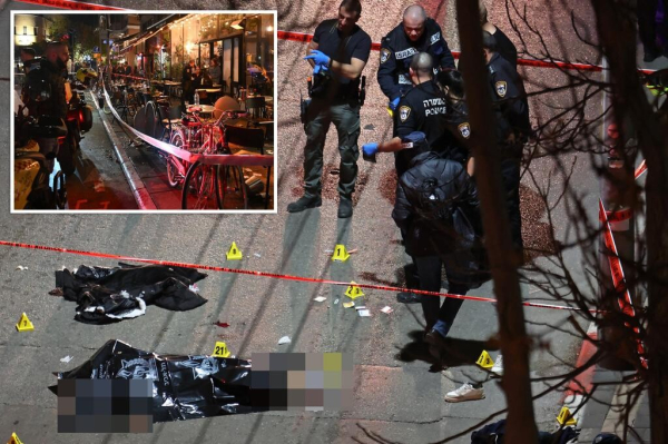 US green card holder stabs 4 in Tel Aviv terror attack — then is shot dead