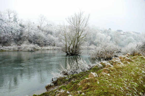 Das Bild zeigt eine winterliche Flusslandschaft. Im Vordergrund ist ein Fluss zu sehen, dessen Wasser eine ruhige, graue Oberfläche hat. Das Ufer des Flusses ist von einer dünnen Schicht Reif bedeckt und mit hohem Gras bewachsen. Einige Büsche und kleinere Bäume am Ufer sind ebenfalls von Raureif überzogen.

Im mittleren Bereich des Bildes steht ein einzelner Baum auf einer kleinen Insel im Fluss. Dieser Baum ist ebenfalls kahl und von Raureif bedeckt. Seine Äste sind durch den Wind in verschiedene Richtungen gebogen, was ihm eine etwas zerzauste Erscheinung verleiht. Der Baum sticht durch seine isolierte Position deutlich von der Umgebung ab.

Im Hintergrund erstreckt sich ein Wald, dessen Bäume ebenfalls von Raureif überzogen sind. Die dichte Baumkrone lässt nur wenig Licht durchscheinen. Am Horizont sind einige Hügel oder Berge zu erkennen, die in den Nebel gehüllt sind.