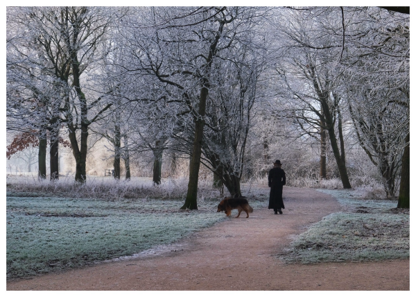 Frau mit Hund geht im frostigen Park spazieren