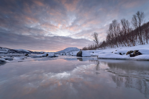 Ice on the shoreline of Senja.