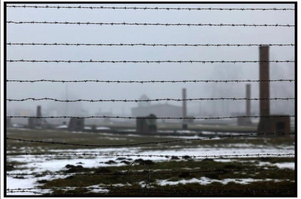 The image shows a foggy winter landscape framed by rows of barbed wire in sharp focus. In the background, blurred ruins of brick chimneys and remnants of structures are scattered across a partially snow-covered field. The site of former Auschwitz II-Birkenau camp.