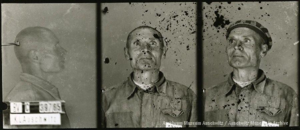 A mugshot registration photograph from Auschwitz. A man with a shaved head wearing a striped uniform photographed in three positions (profile and front with bare head and a photo with a slightly turned head with a hat on). The prisoner number is visible on a marking board on the left.