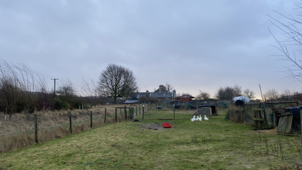 A rural landscape featuring a grassy field with a few white ducks, wooden fences, and scattered structures. In the background, there are several buildings including a house and a byre. There is dawn light on the far horizon and the sky is a leaden grey.