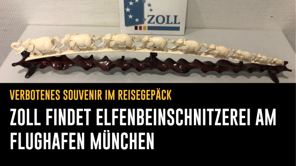 Foto:
Beschlagnahmte Elfenbeinschnitzerei auf einem Tisch.
Text: Verbotenes Souvenir im Reisegepäck - Zoll findet Elfenbeinschnitzerei am Flughafen München