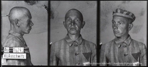 A mugshot registration photograph from Auschwitz. A man with a shaved head wearing a striped uniform photographed in three positions (profile and front with bare head and a photo with a slightly turned head with a hat on). The prisoner number is visible on a marking board on the left.