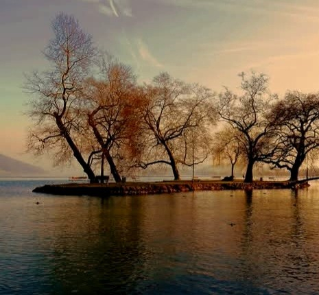 Ein ruhiges Seeufer mit einer kleinen Insel, auf der mehrere kahllaubige Bäume stehen. Die Bäume sind in warmen Herbstfarben gehalten und scheinen sich in den ruhigen, spiegelnden Wassern des Sees zu reflektieren. Am Horizont ist ein sanfter Hügel oder eine Bergkette zu sehen. Die Stimmung des Bildes ist friedlich und ruhig.