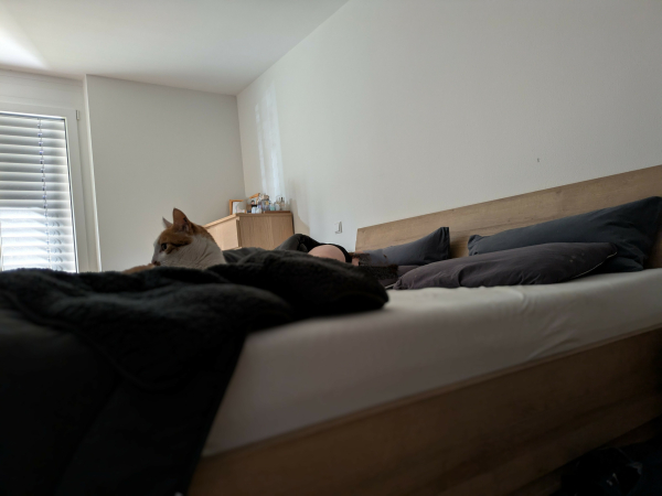 Ein Foto. Katze schläft im Bett neben einer Person