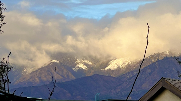 A scenic view of snow-capped sierra madre mountains partially obscured by clouds, with a clear blue sky above. Some branches are visible in the foreground, adding depth to the landscape.