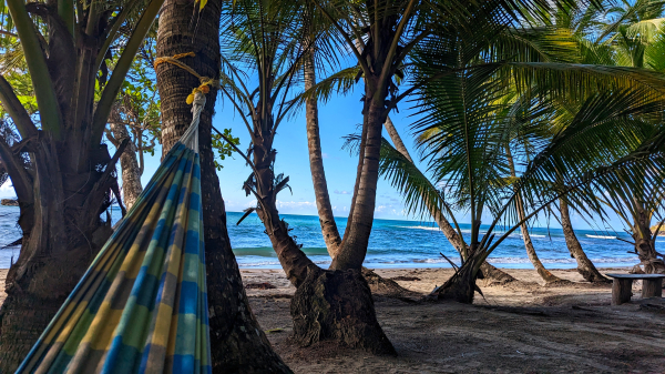 Blick über das Fußende einer Hängematte vorbei an Kokospalmen auf einen Strand.