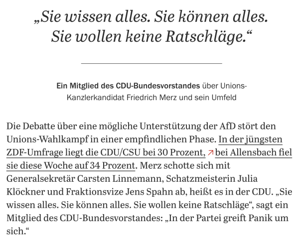 Screenshot, in dem geht es um Merz und Spahn und Linnemann.