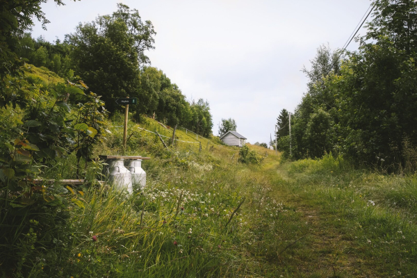 A scenic countryside pathway bordered by lush green grass and trees. Along the path are three old milk cans, a signpost, and a small wooden cabin in the background. The atmosphere is peaceful and rural.