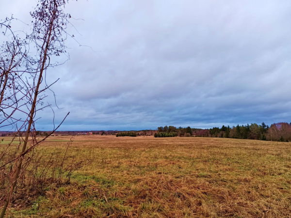 Evening view over a meadow. The sky is covered with thick rainclouds and darker towards the horizon. A distant neighbouring farmstead, some forest and part of a village are visible. A few branches, bereft of leaves introde from the left.