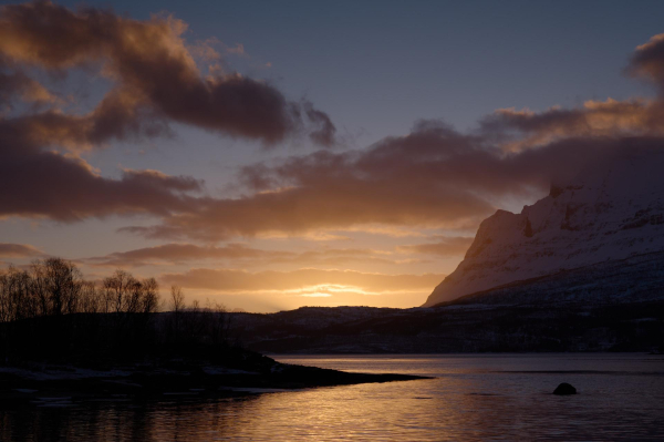 Just caught a glimpse of the sun coming down the fjord at Grov