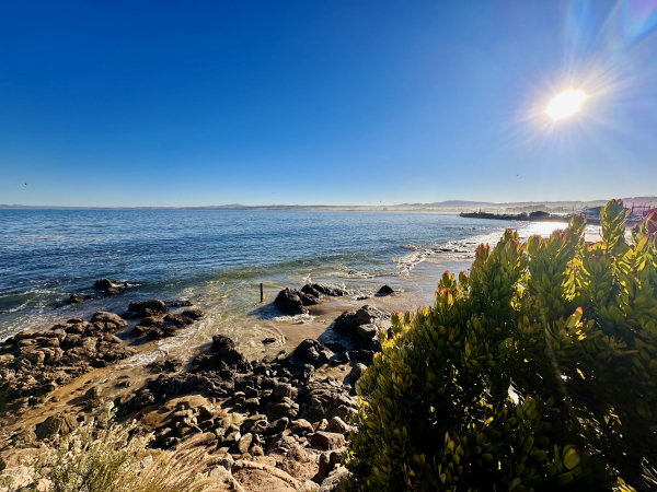 A view of the beach in Monterey 