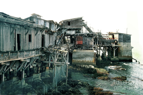 A photo of the Hovden cannery after the collapse 