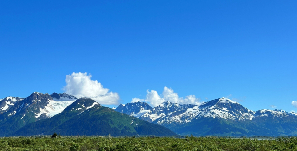 Mountains above the grasses of Turnagain Arm