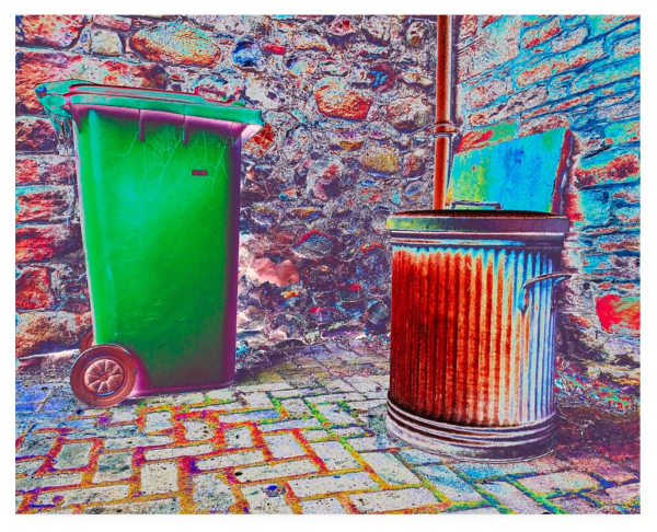 Colour adjusted photograph, giving a post apocalyptic look, showing a green wheelie bin to the right (with frosted cobweb) and a rusted metal dustbin to the left.  Behind is an old stone wall.