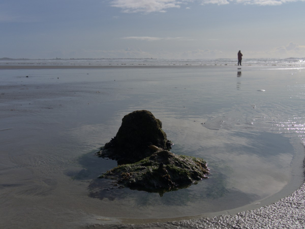 Une plage à marée basse au soleil. Au 1er plan au centre, une masse de caillou moussu entouré d'eau. Au loin vers la droite, la silhouette d'une personne regardant la mer… Quelques nuages d'altitude dans un ciel bleu assez pâle.