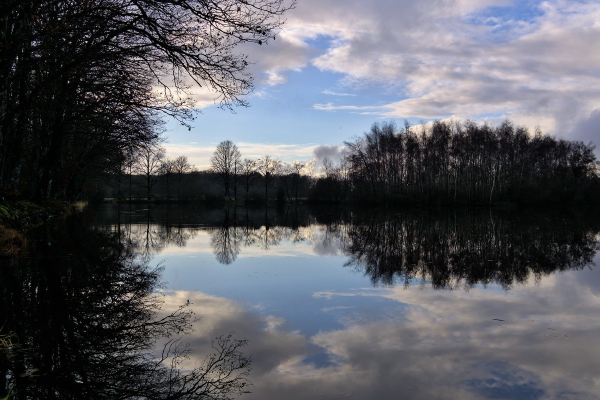 Photo d'un étang entouré d'arbres, avec un reflet quasi parfait du ciel de nuages et de bleu.