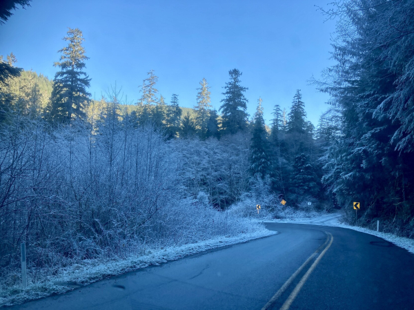 A short stretch of road curves away. The short bush alongside of the road is covered with many frost layers as the sun doesn’t touch during the winter.