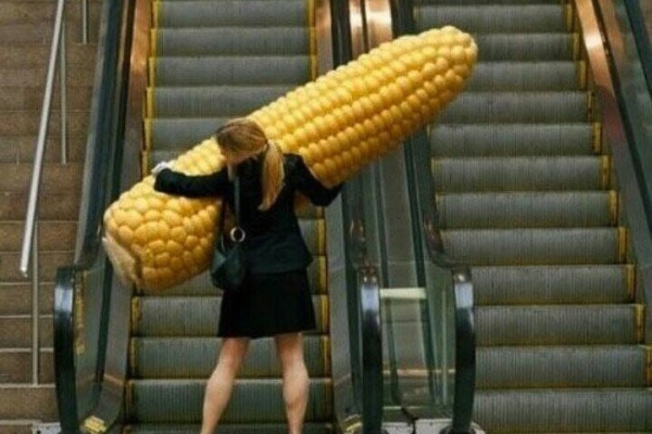 the jolly green giant's intern struggling to get a corn cob that is twice her size onto an escalator