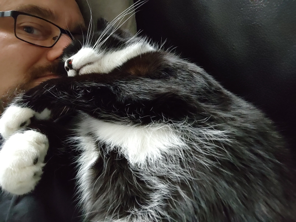 Ein selfi von mir und dem Kater Phips. Ich liege auf dem Sofa und Phips auf mir und drückt sein Kopf in mein Gesicht und schläft