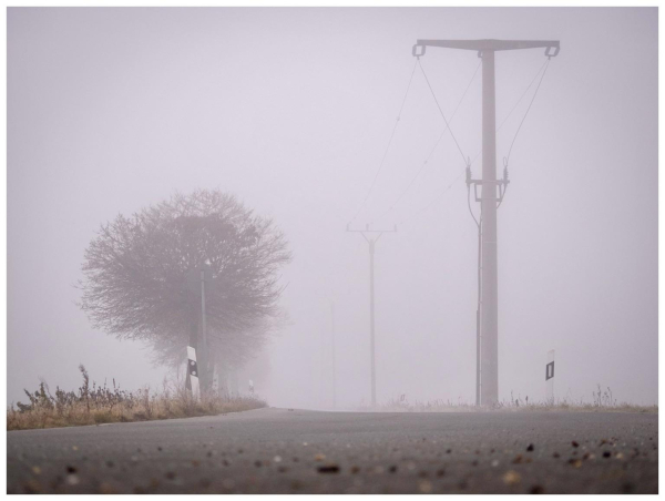 A foggy road stretches into the distance, flanked by a solitary tree and power lines disappearing into the mist. Road signs are partially visible along the edge.