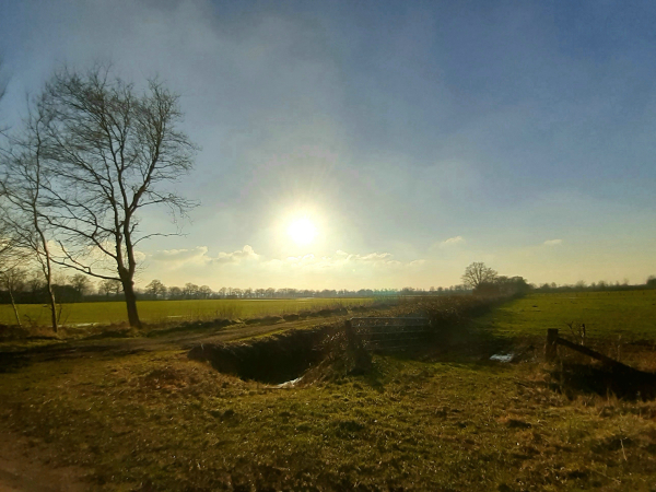 Die Sonne scheint über dem Venn. Landschaft mit Weiden, Wiesen, Bäumen.