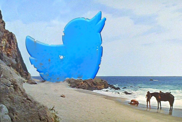 beach with a giant twitter symbol at teh end, with a man in the surf and horse behind him -- the final scene from Planet of the Apes where Charleton Heston discovers he's been on earth the whole time (in the movie it's not the twitter logo it's a melted statue of liberty statue)