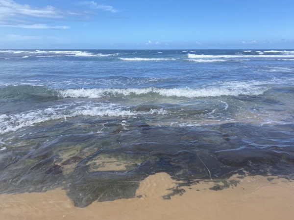 Looking across the wet sand and rocks to the ocean horizon. The water is beautifully clear as it swishes over the rocks and a gorgeous blue further out with narrow fringes of white. Blue skies with only a few wings of white cloud, mostly to the left.