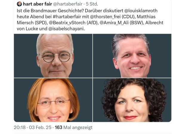 Hart aber fair, afdler redet über brandmauer...