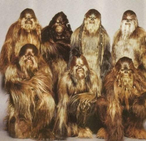 A group of wookies posed like they are getting a photo for cover art on their self-titled album