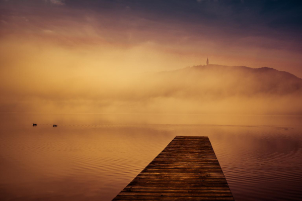 Ein Steg ragt schräg in den Wörthersee, im Hintergrund der See mit Nebel und Silhouetten von Enten. Schemenhaft erkennt man das andere Ufer mit dem Pyramidenkogel Aussichtsturm