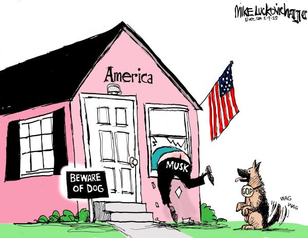 Cartoon by Mike Luckovich:

A simple cabin-type house, pink, is labelled "America" over the door.
An American flag flies from the roof.

Left to right (bottom) - There is a sign in front of the stairs to the door:
"BEWARE OF DOG". To the right of the door is a window, where a burglar labeled as "MUSK" has shattered the glass and is half-way into the house (America).

Nearby the aforementioned dog is watching, wagging his tail. His neclace says: "GOP"