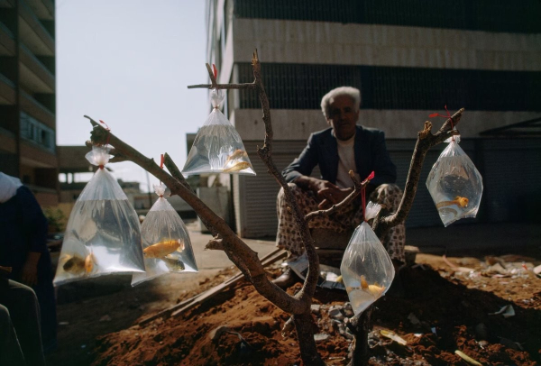 A man sells goldfish in baggies tied to a tree branch at the Shatila Palestinian Camp in Beirut, Lebanon. 1983