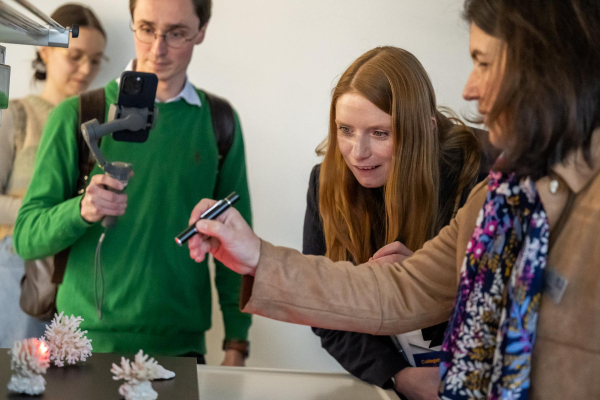  Prof. Dr. Iliana Baums vom HIFMB leuchtet mit einem roten Laser auf Korallenskelette.