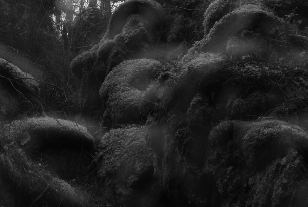 This photo is a bit closer look at the mossy rocks that where on the right in the first image, and with a little bit different angle that makes the rock look like a big face.