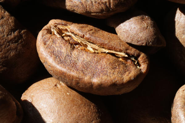 Die Makroaufnahme einer gerösteten Kaffeebohne, die zwischen anderen Kaffeebohnen liegt.