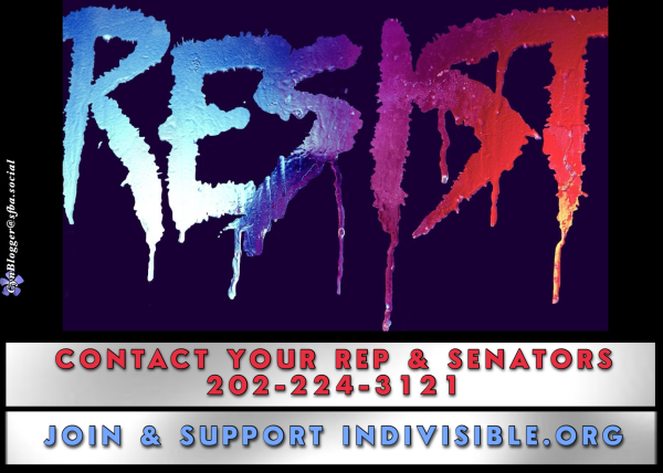 Meme: Black background: colorful metallic text reads, “RESIST!”
“CONTACT YOUR REP & SENATORS 202-224-3121”
“JOIN & SUPPORT INDIVISIBLE.ORG” 