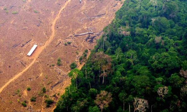 A deforested and burning area of the Amazon rainforest in the region of Labrea, state of Amazonas, northern Brazil. Photograph: Douglas Magno/AFP/Getty Images.