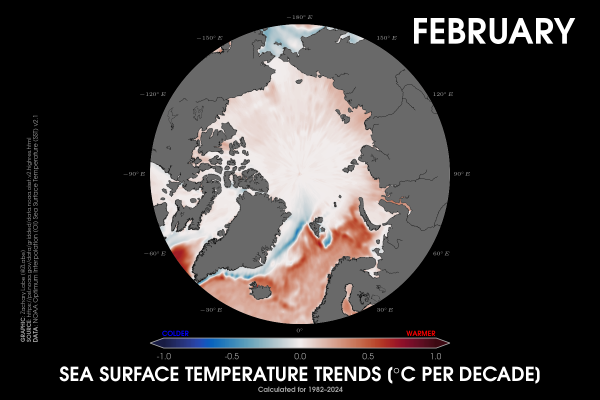 Polar stereographic map of sea surface temperature trends in the Arctic for each February from 1982 to 2024. There is a long-term warming at the edges of the Arctic Ocean, especially in the North Atlantic.