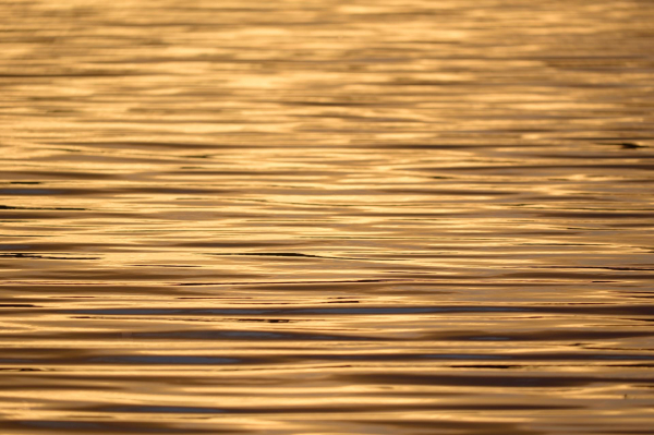 Sunlight glistening on the water