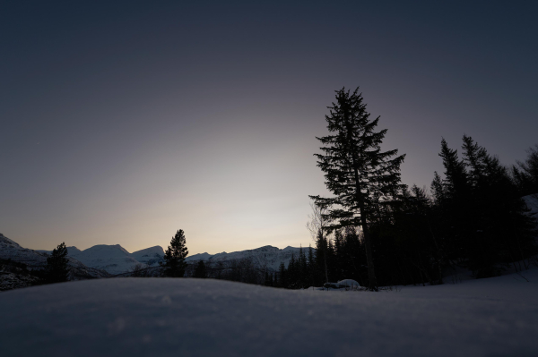 A hint of the sunlight on the horizon, behind the snow capped peaks. A warm glow gives way to a rich blue sky as night begins to fall. A pine tree rises above the snow.