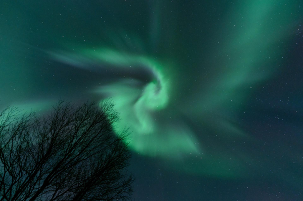 Aurora above the ice cap