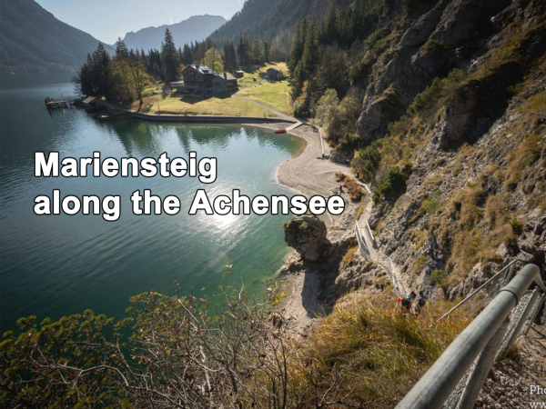 A picturesque scene captured along the Mariensteig path, which leads to the stunning Achensee lake in the highlands. The image shows a serene landscape with a path winding through lush greenery, leading towards the calm body of water. In the background, majestic mountains rise up, adding to the natural beauty of the scene. The color palette is dominated by shades of grey and black, with accents of earthy tones. This tranquil setting exudes a sense of peacefulness and invites viewers to immerse themselves in the wilderness of the outdoors.