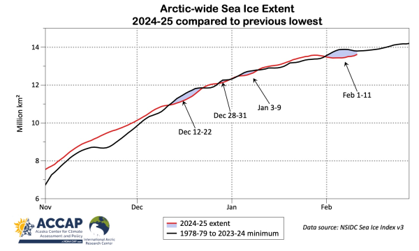 Time series plot of the 2024-25 sea ice extent November 1 to February 11 against the 1978-70 to 2023-24 minimum extent with the days when the 2024-25 season is the lowest highlighted.